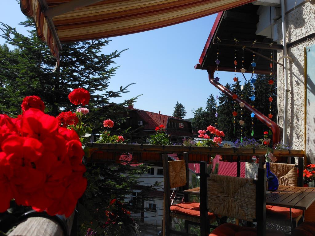 Bistro-Pension La Teleferic Сіная Екстер'єр фото
