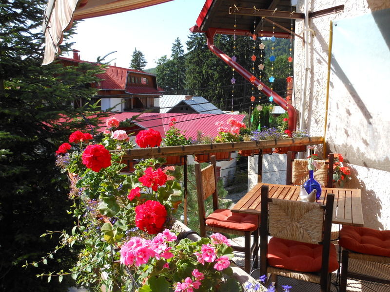 Bistro-Pension La Teleferic Сіная Екстер'єр фото