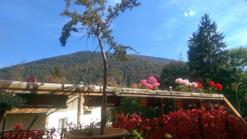 Bistro-Pension La Teleferic Сіная Екстер'єр фото