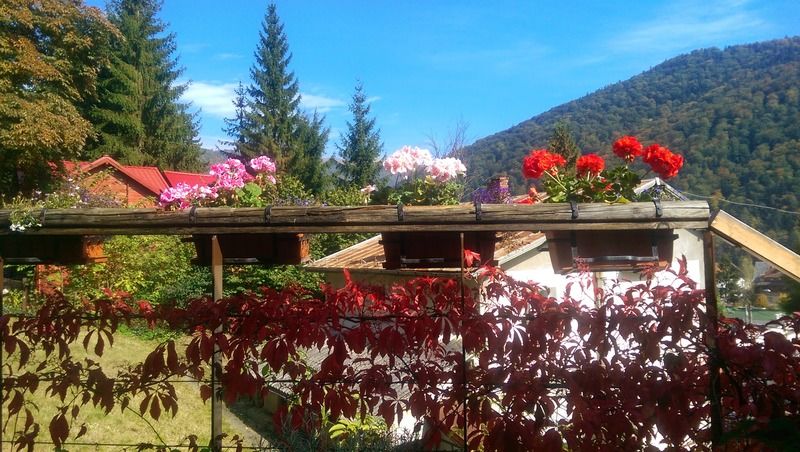 Bistro-Pension La Teleferic Сіная Екстер'єр фото