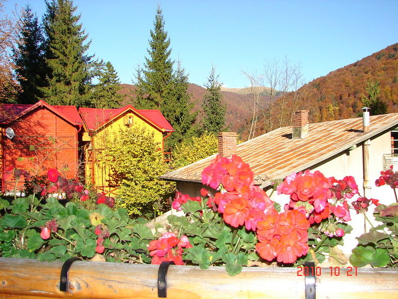 Bistro-Pension La Teleferic Сіная Екстер'єр фото