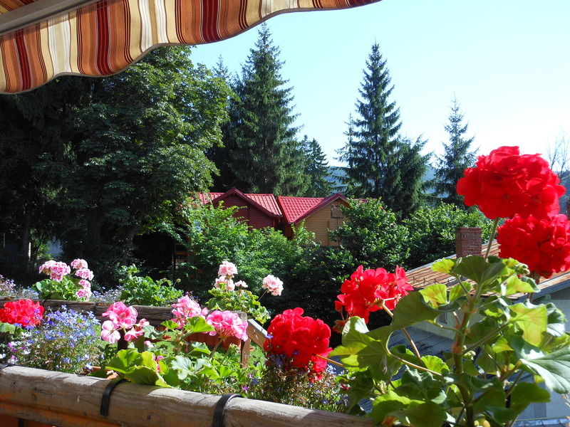 Bistro-Pension La Teleferic Сіная Екстер'єр фото