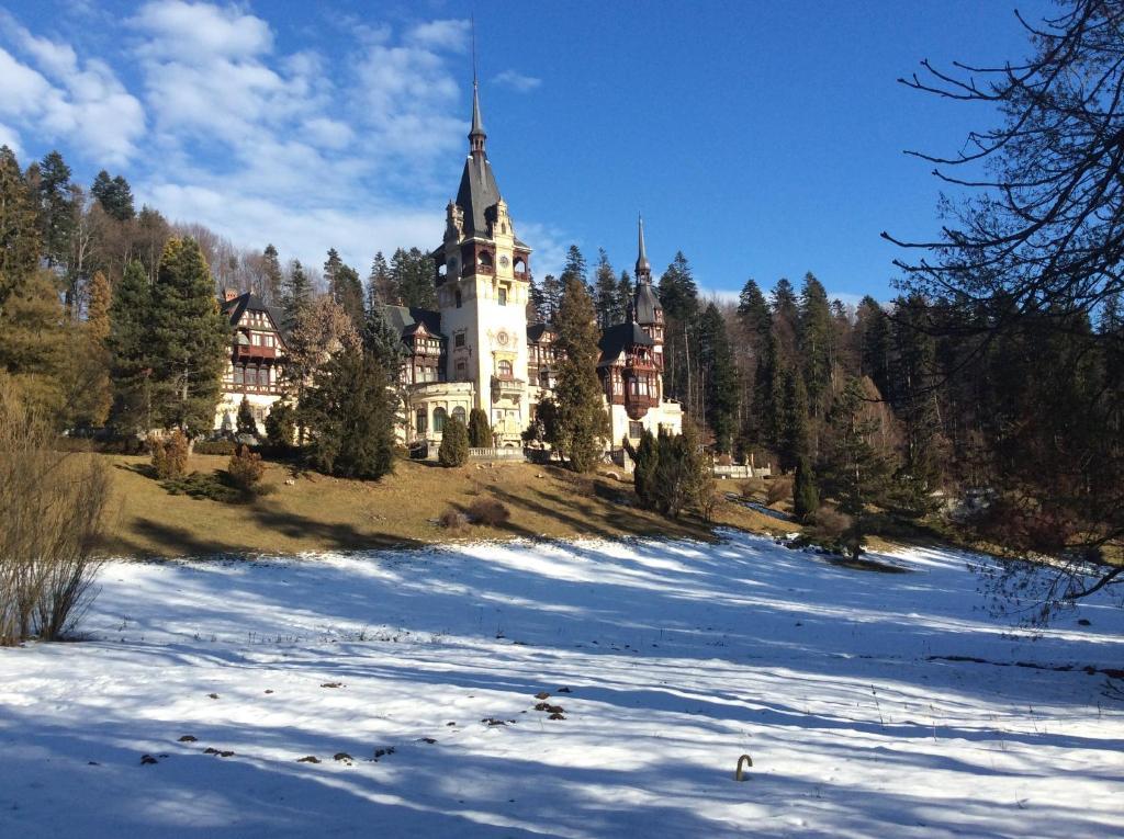 Bistro-Pension La Teleferic Сіная Екстер'єр фото