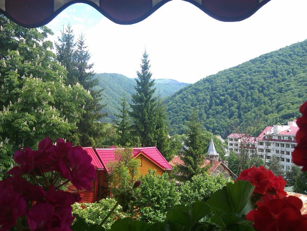 Bistro-Pension La Teleferic Сіная Екстер'єр фото