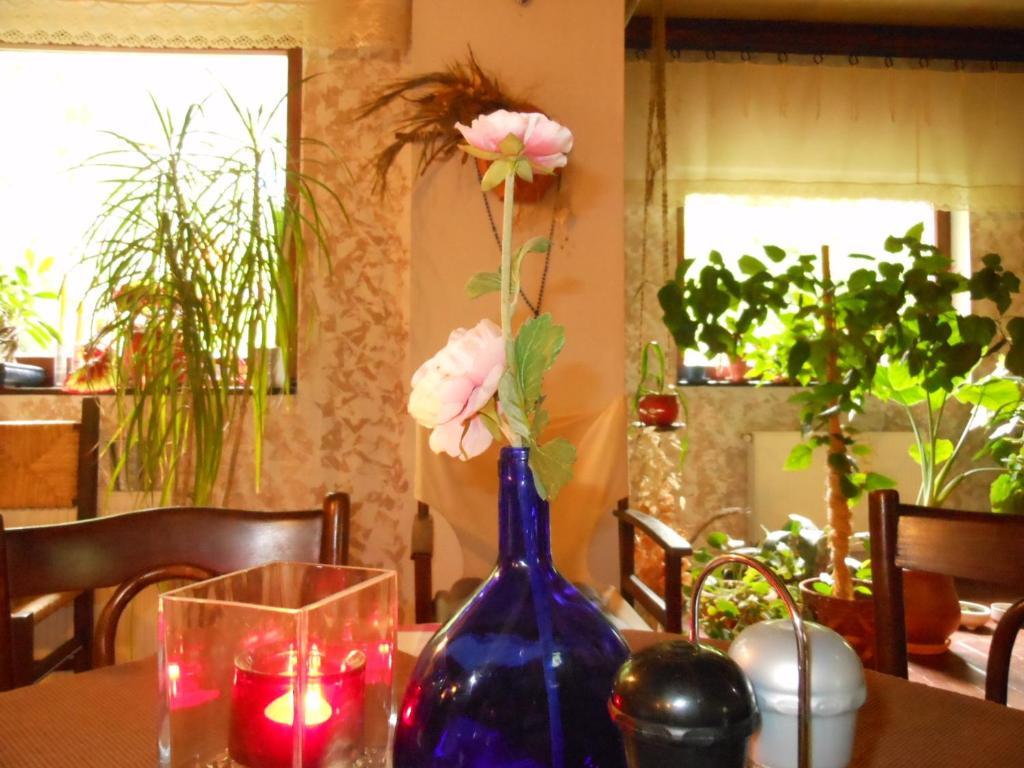 Bistro-Pension La Teleferic Сіная Екстер'єр фото