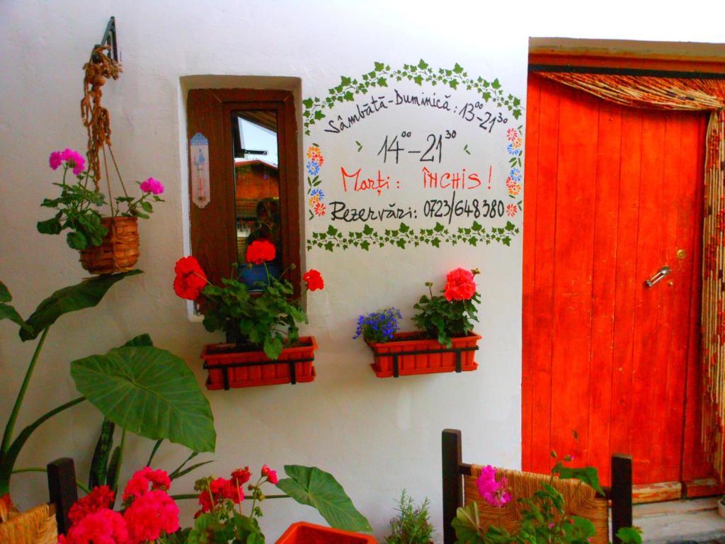 Bistro-Pension La Teleferic Сіная Екстер'єр фото